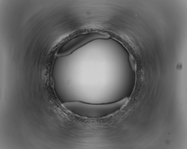 X0000095540872200712141021