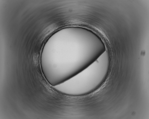 X0000095540873200712141021