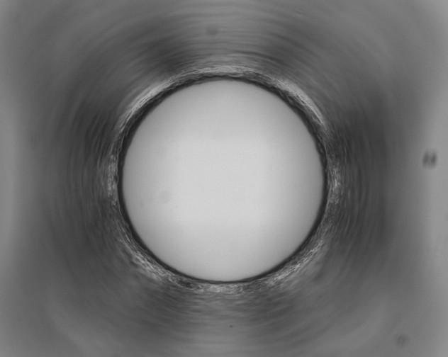 X0000095540874200712141021