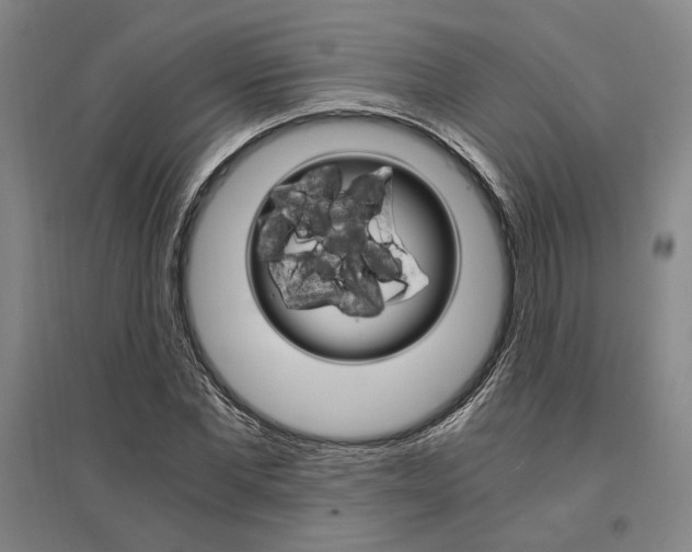 X0000095540877200712141021