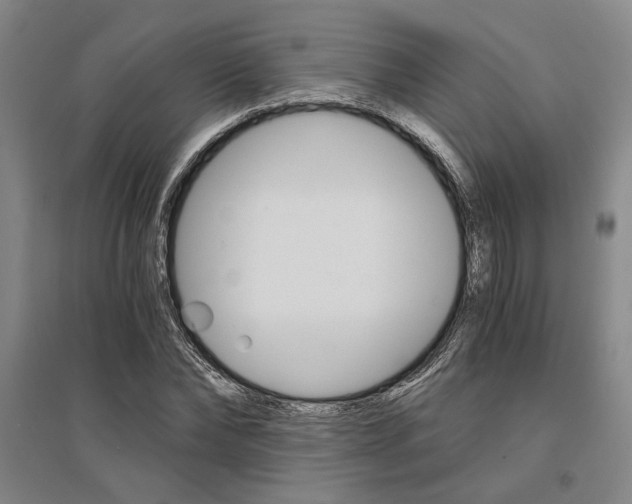 X0000095540878200712141021