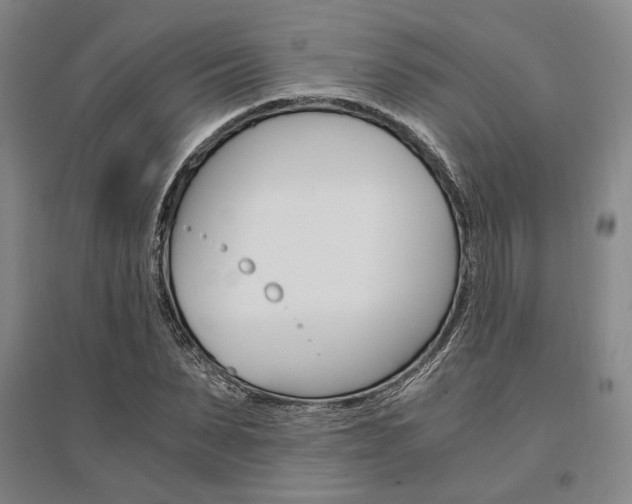 X0000095540879200712141021