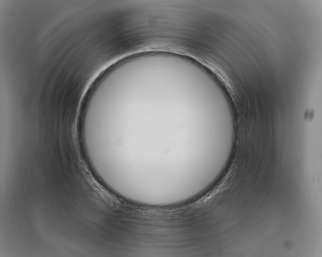X0000095540880200712141021