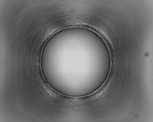 X0000095540881200712141021