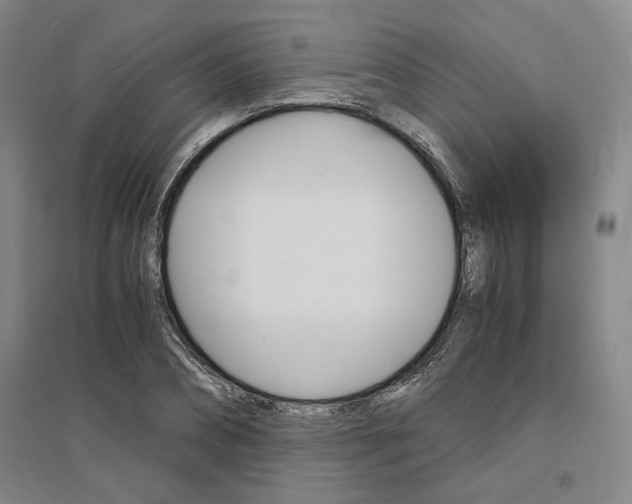 X0000095540882200712141021