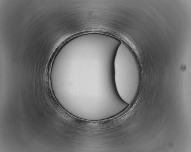 X0000095540883200712141021