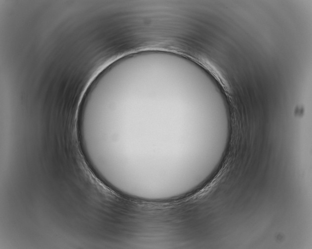 X0000095540884200712141021