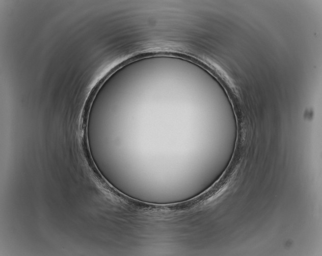 X0000095540885200712141021