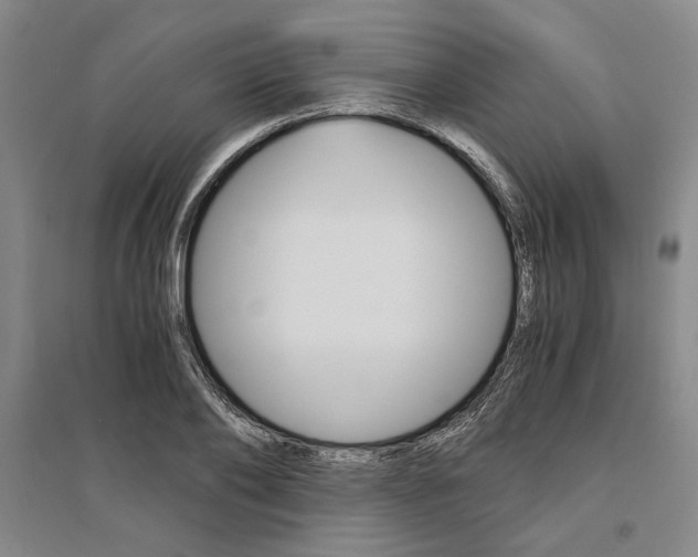 X0000095540886200712141021