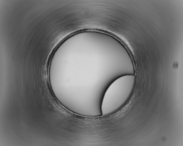 X0000095540887200712141021