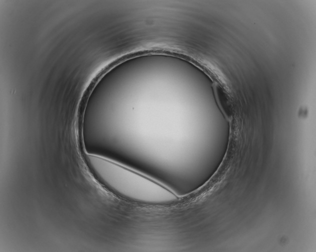 X0000095540888200712141021