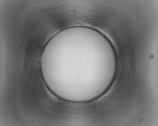 X0000095540889200712141021