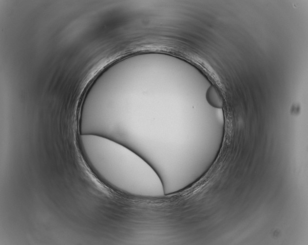 X0000095540890200712141021