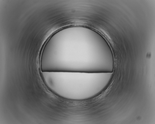 X0000095540891200712141021