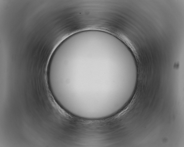 X0000095540892200712141021