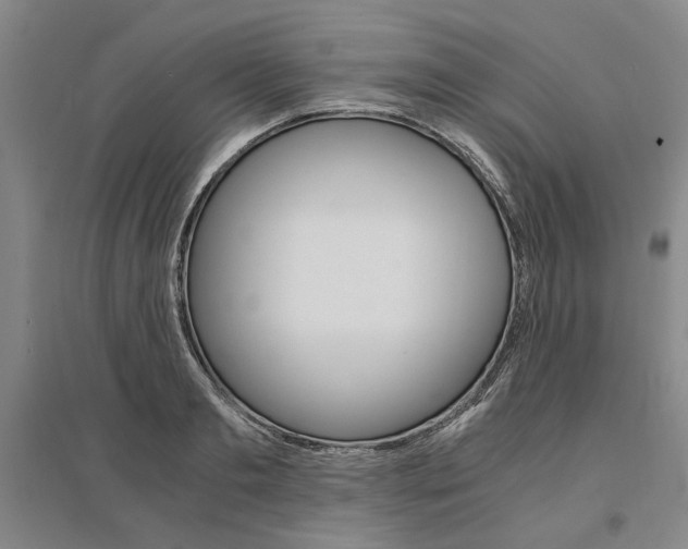 X0000095540893200712141021