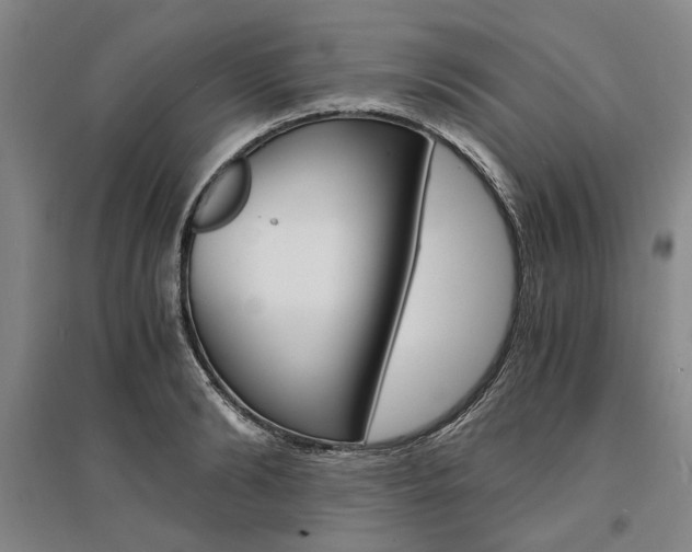 X0000095540894200712141021