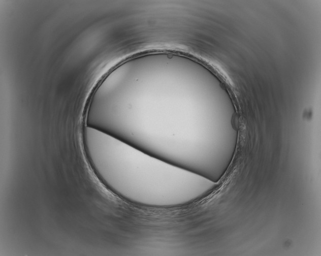 X0000095540895200712141021