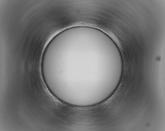 X0000095540896200712141021