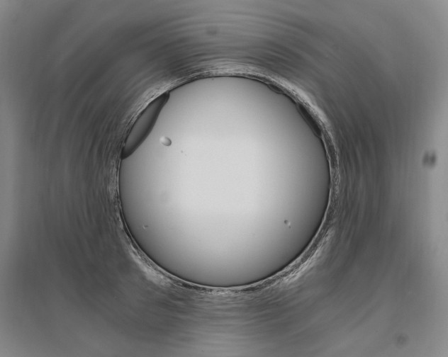 X0000095540897200712141021
