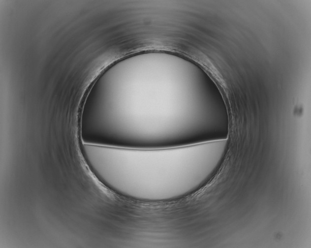 X0000095540898200712141021