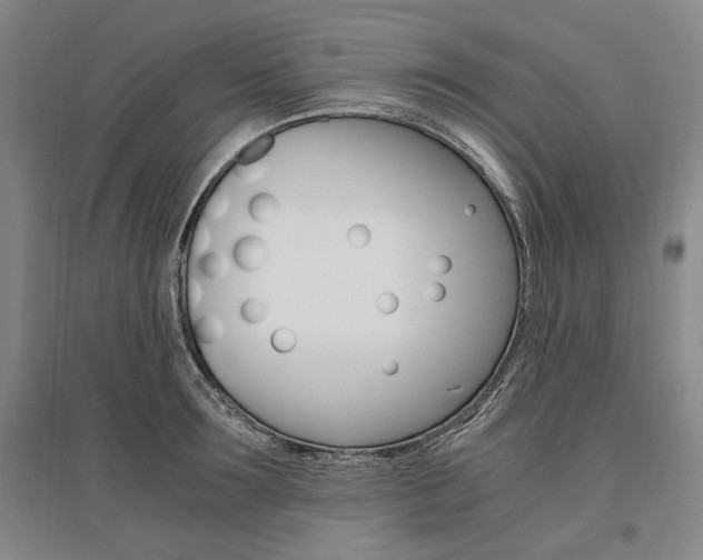 X0000095540899200712141021