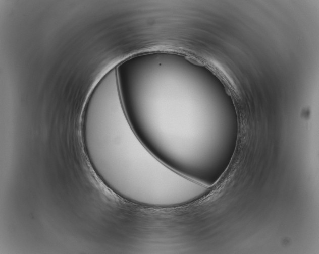 X0000095540900200712141021