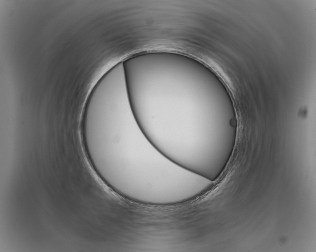 X0000095540901200712141021