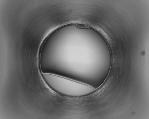 X0000095540902200712141021