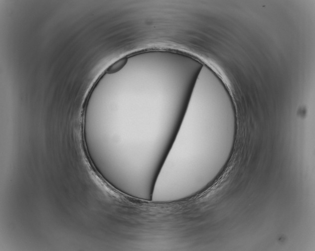X0000095540903200712141021
