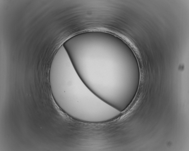 X0000095540905200712141021