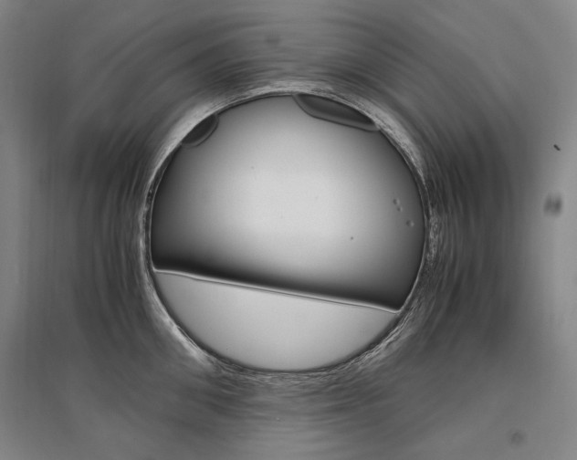 X0000095540906200712141021