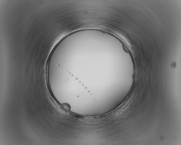 X0000095540907200712141021