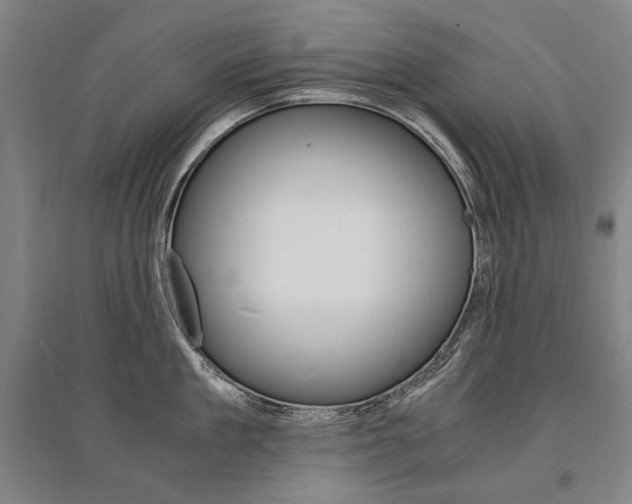 X0000095540909200712141021