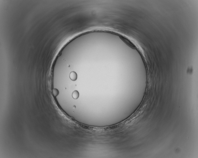 X0000095540911200712141021