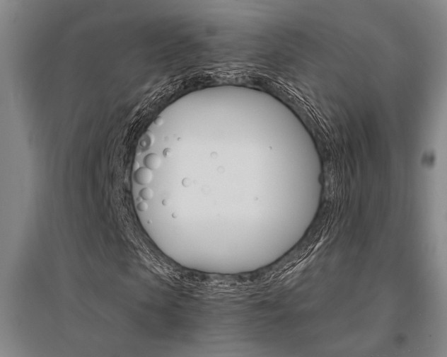 X0000095540913200712141020