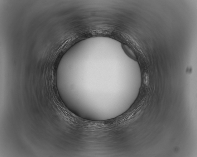 X0000095540915200712141020
