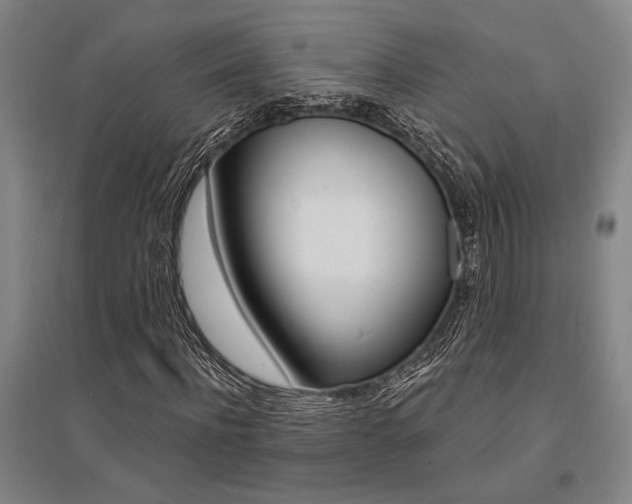 X0000095540916200712141020