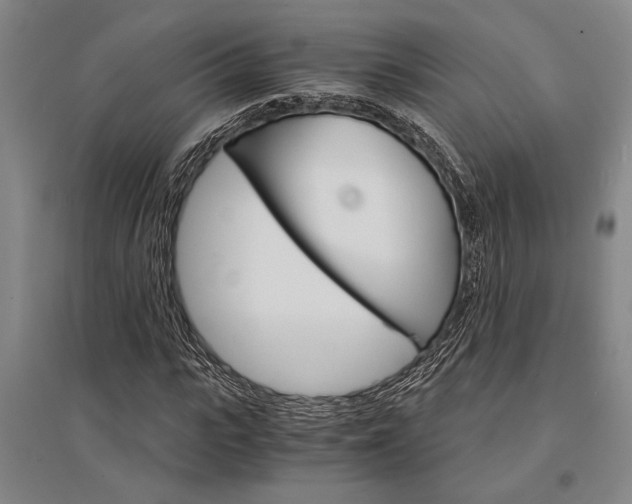 X0000095540919200712141020