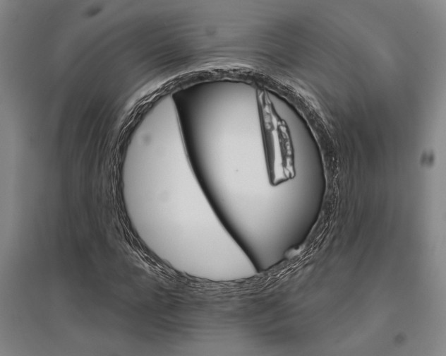 X0000095540920200712141020