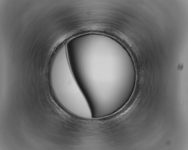 X0000095540922200712141020