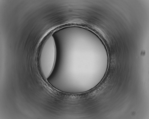X0000095540923200712141020