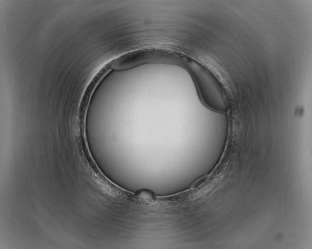 X0000095540924200712141020