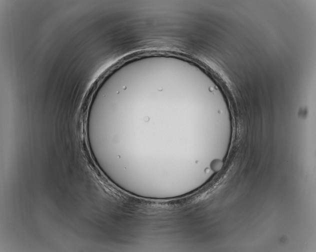 X0000095540925200712141020