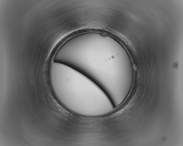 X0000095540926200712141020