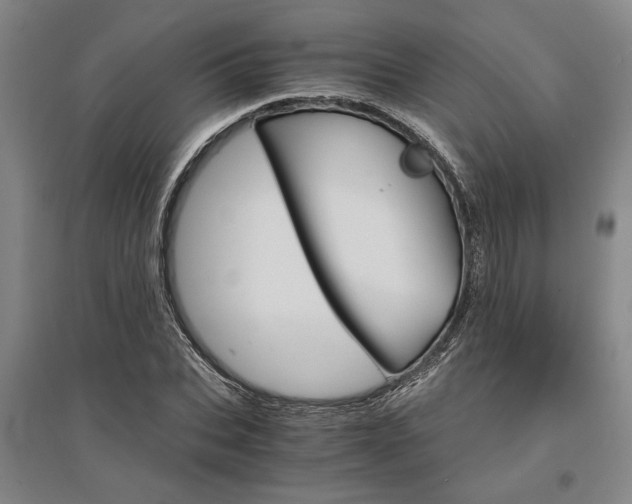 X0000095540927200712141020