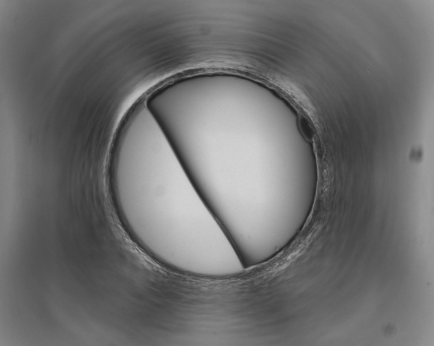 X0000095540928200712141020