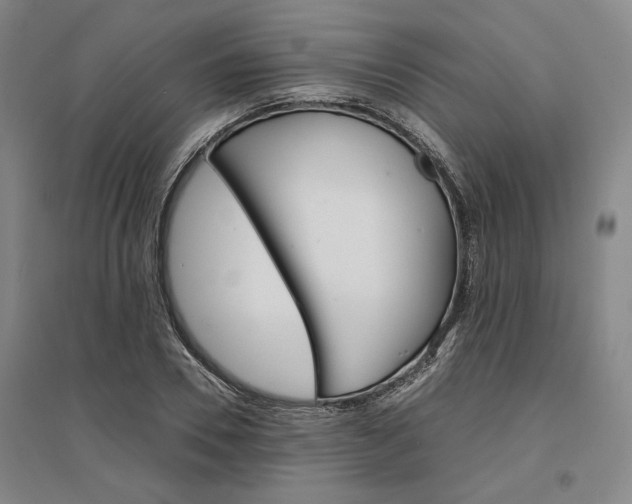 X0000095540930200712141020