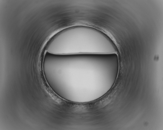 X0000095540931200712141020