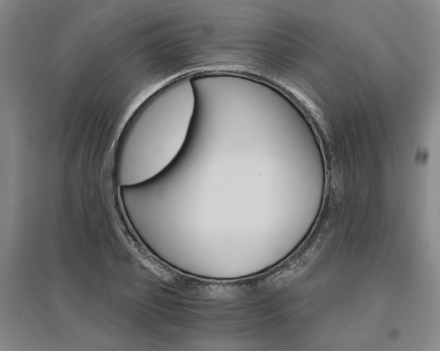 X0000095540933200712141020